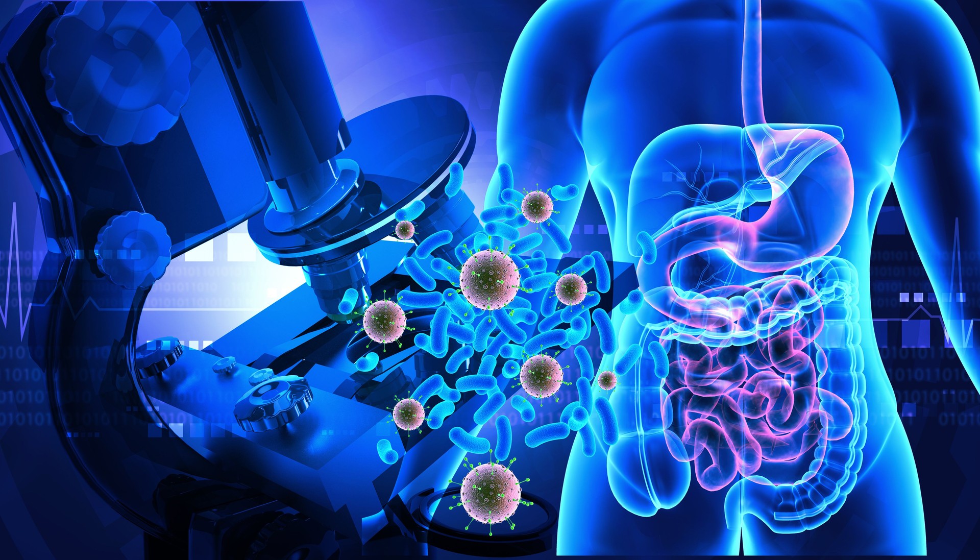 Human digestive system with virus bacteria infection